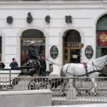 kutsche_19_paul_web
