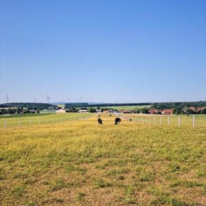 Unser Pferdehof über 130.000m²