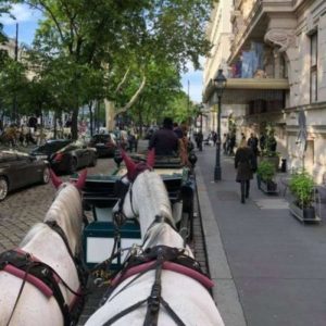 vor dem Grand Hotel in Wien