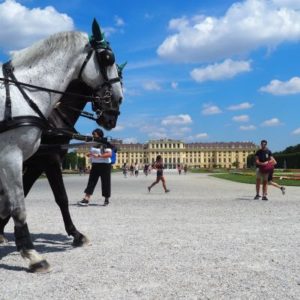 auch in Schönbrunn sind wir